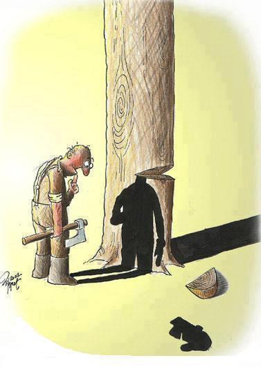 Semnale - 1989155804339253231681348958769n.jpg